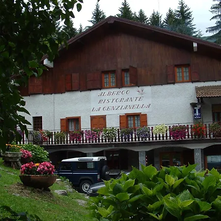 La Genzianella